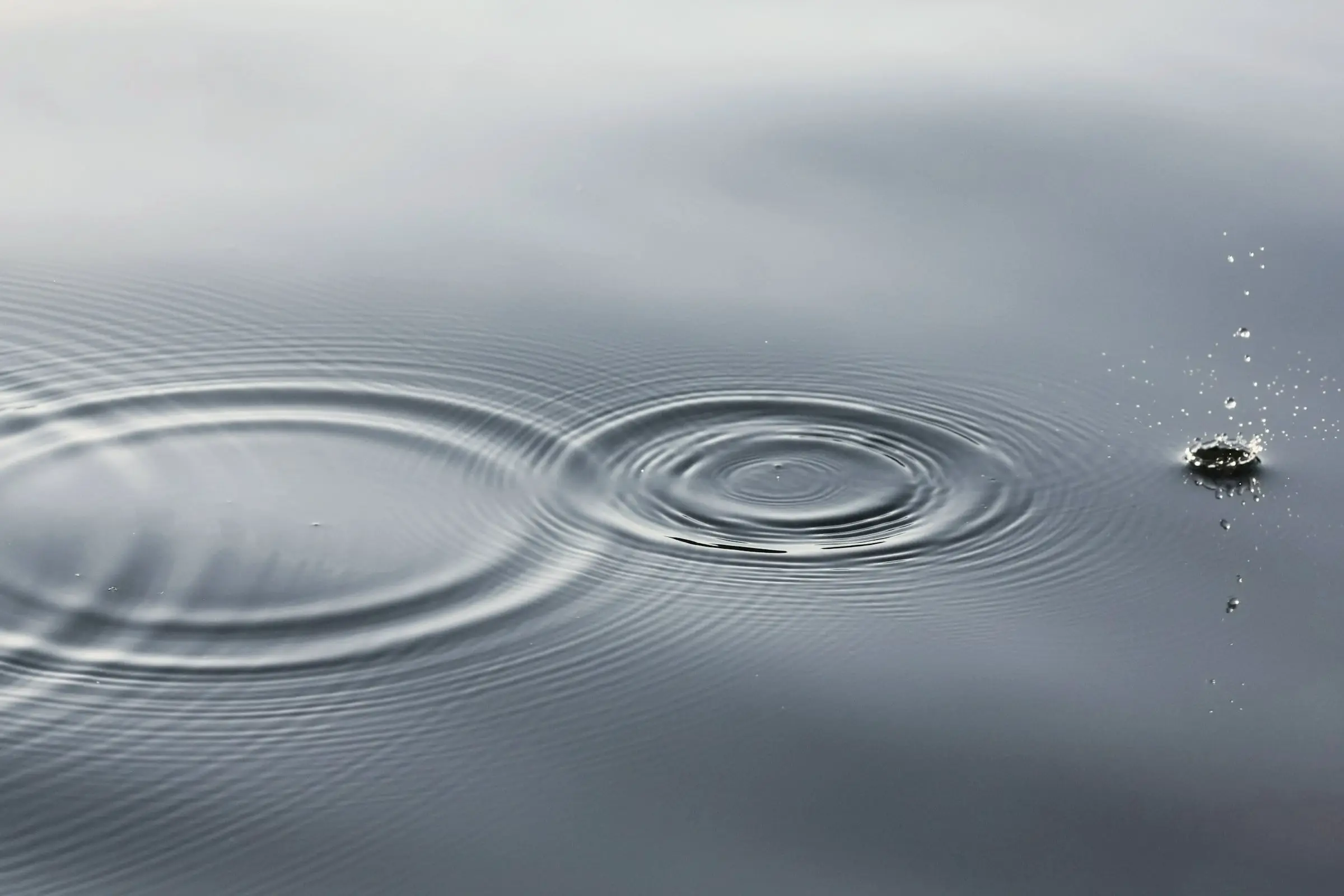 Two rings spreading across still grey water